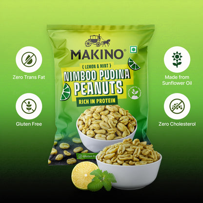 Makino Assorted Roasted Peanuts | Each 40gm | Pack of 5 | Tandoori, Nimboo Pudina, Hing Jeera, Black Pepper, Garlic, Salted | Total 215g | Flavoured Peanuts | Super Crunchy
